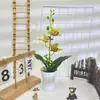 Tres Orquídeas Phalaenopsis con Macetas Altas Abiertas para Fotografía de Bonsái, Accesorios de Plantas en Maceta, Decoración de Hotel para Bodas, Adornos de Flores Artificiales