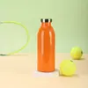 Nueva Botella de Leche Americana de Boca Pequeña Taza Térmica de Acero Inoxidable 304 Mate con Aislamiento al Vacío Taza de Agua para Ciclismo Deportivo al Aire Libre