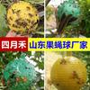 Árboles frutales con bola pegajosa para moscas de la fruta grande bola pegajosa bola pegajosa bola pegajosa trampa para moscas amarilla bola pegajosa verde para moscas de los cítricos al por mayor