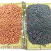 Aquário Tanque de peixes Areia de Ceramsita areia cerâmica areia de fundo para aquário areia para plantas aquáticas areia para plantas aquáticas grão grande 5kg