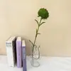 Flor Artificial Tallo Único Caucho Suave Clavel Verde Sala de Estar Casa de Huéspedes Arreglo Floral Artístico Adorno Decorativo Flor Artificial Estilo Simple Flor Artificial