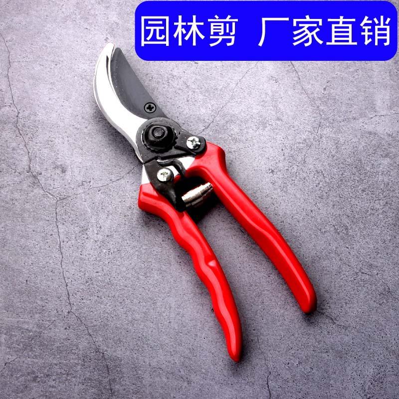 红柄黑白鸟嘴园林剪主图