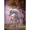 Póster de Unicornio Blanco y Negro Arcoíris Jit Dropshipping Arte en Lienzo Impreso Suministro del Almacén de Comercio Exterior Principal Shein