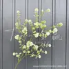 Casamento verde planta verde simulação Tianmen planta verde de inverno casamento flor plástica decoração de bambu fileira estrada chumbo hortênsia Sino Pendurado