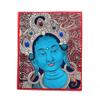 Thangka Mãe Verde Zakiram Vida Passada e Vida Presente Farmacêutico Benmingfo Tela Pode Mudar Vários Padrões Tecido Thangka