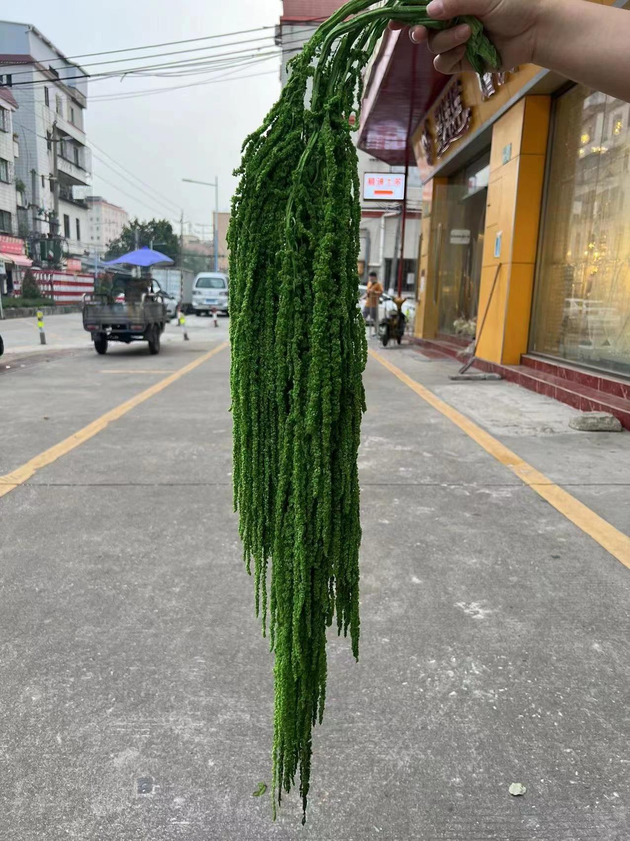 微信图片_20221127133604