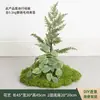 Musgo Artificial Verde para Paisagismo, Micro-Paisagens de Jardim, Materiais Decorativos, Musgo Sintético, Enfeites de Grama Artificial