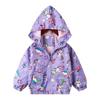 Casaco de rua para meninas na primavera e outono, estampa completa de desenho animado, jaqueta infantil com capuz, camisa com zíper, atacado, primeira geração de cabelo