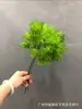 Paquete de Simulación de Planta de Hojas de Pino Belleza de Pino Hojas Verdes Plantas Verdes Pino en Maceta Proyecto de Saludo Pino Pino Pequeño Bonsái