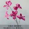 Decoração de Casamento com Materiais Florais Vermelho-Rosa, Folhas Artificiais, Rosas e Arranjos Florais para o Salão do Casamento e Painel de Fundo