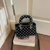 Bolsa de Bolinhas de Nicho de Luxo Feminina 2026 Nova Outono Super Quente para Trabalho e Deslocamento Pequena Bolsinha de Ombro Transversal