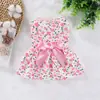 Celebridad de Internet Primavera y Verano Falda para Perro Perros Pequeños y Medianos Teddy Gato Ropa para Mascotas Linda Falda para Perro Delgada Estilo Princesa