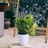 Soporte para Plantas Marco de Trepa Clip Fijo Vid Trepadora Soporte Auxiliar Transfronterizo para Vid Macetero Apilable para Jardinería