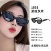 Libro Rojo Pequeño Ciervo Blanco Premium 2024GM Gafas de Sol Anti-UV Gafas de Sol Ojo de Gato Gafas de Sol de Alta Gama para Damas