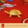 Cartão Marca Tsinghua University Marca Famosa Adereços para o Primeiro Aniversário de Dez Escolas Famosas Decoração de Primeiro Aniversário de Bebê Decorações de Festa de Aniversário
