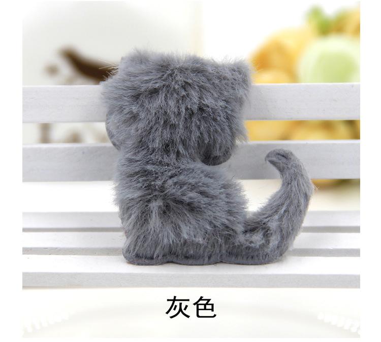 长绒毛猫_08.jpg