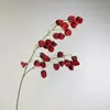 Flores Secas Realistas, Fruto de Catalpa, Fruto Lanterna, Flores Artificiais, Enfeites Florais, Flores Falsas Estilo Luxo Acessível de Alta Qualidade, Decorações para Entrada de Sala de Estar