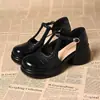 Zapatos Mary Jane Cómodos de Verano, Estilo Nuevo, Calados, Sandalias de Correa Única, Zapatos Perforados de Ganchillo de Malla, Tacón Bajo
