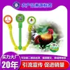 Fabricante de anillos para patas de pollo personalizados etiqueta de trazabilidad anti-falsificación con código QR marcador de cangrejo hebilla de cangrejo avícola etiqueta de pez desechable
