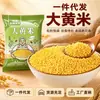 Arroz rhuagang del noreste al por mayor nuevo arroz rhuagang pegajoso arroz glutinoso envuelto zongzi mijo de granja amarillo pegajoso amarillo pegajoso suave
