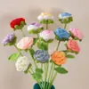 Buquê de Rosas em Crochê Gradiente Feito à Mão, Rosas Tecidas Simuladas, Presente para o Festival Qixi e Dia dos Professores, Flores Eternas