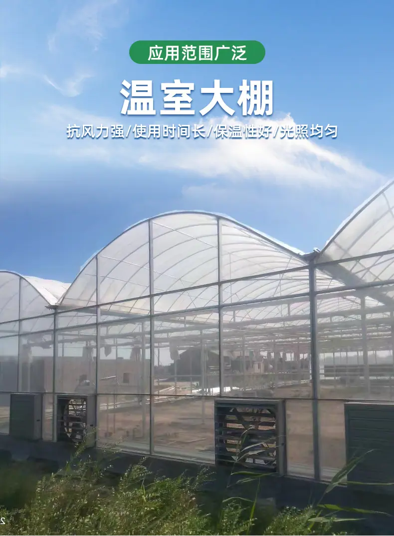 温室大棚_03.jpg