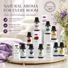 Aromaterapia soluble en agua transfronteriza 30ml dormitorio lavanda planta incienso soluble en agua humidificador aceite esencial mayoreo