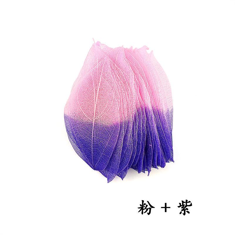 双色金刚叶粉+紫.jpg