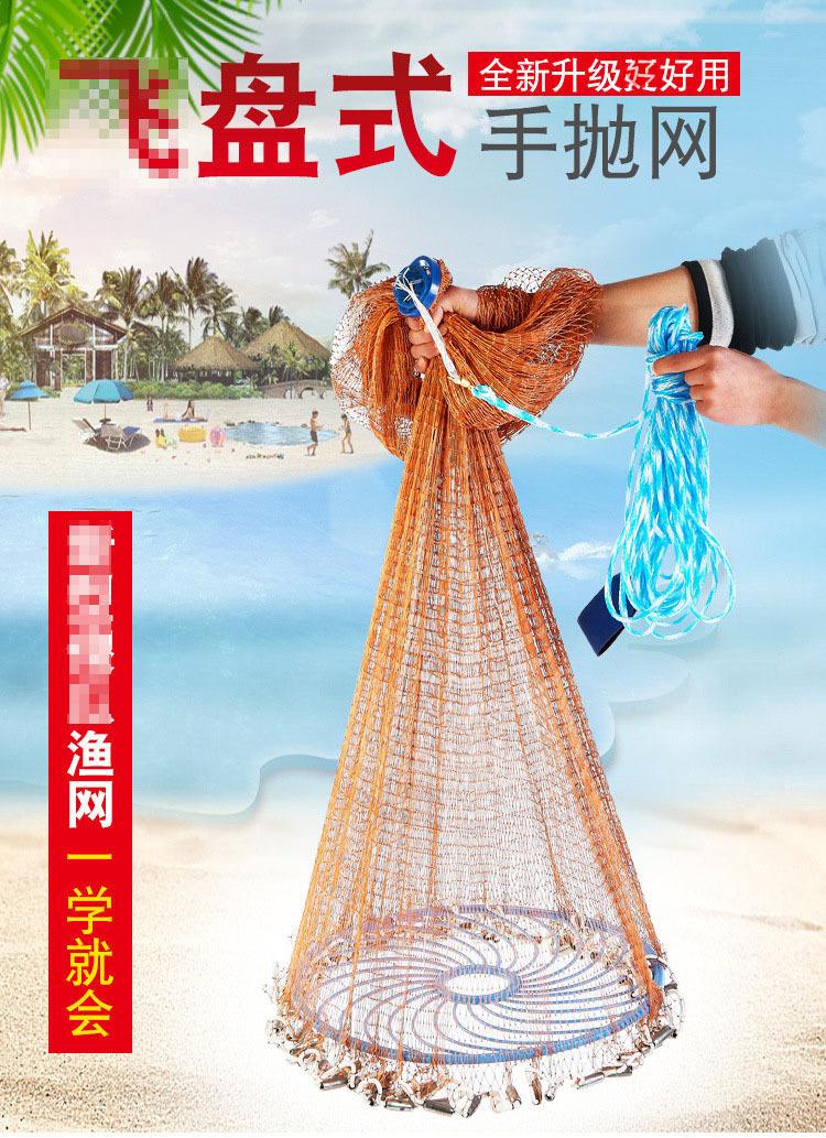 网6