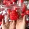 Mini Brinquedos Squishy para Alívio de Estresse Bolas Pequenas de Rebound Lento Caixa Surpresa Venda por Atacado de Fábrica
