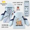 Jaqueta de Inverno Kapibala para Meninos e Meninas para Crianças Mais Velhas, Roupa Exterior Removível Três em Um, Jaqueta Impermeável com Capuz, Moderna