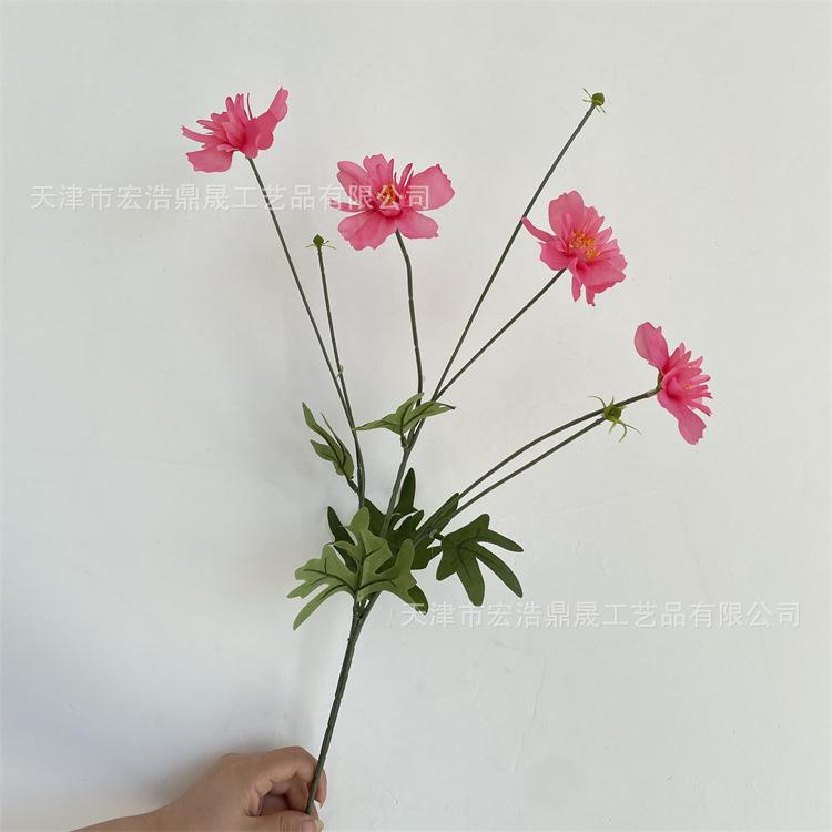 微信图片_202208311710255