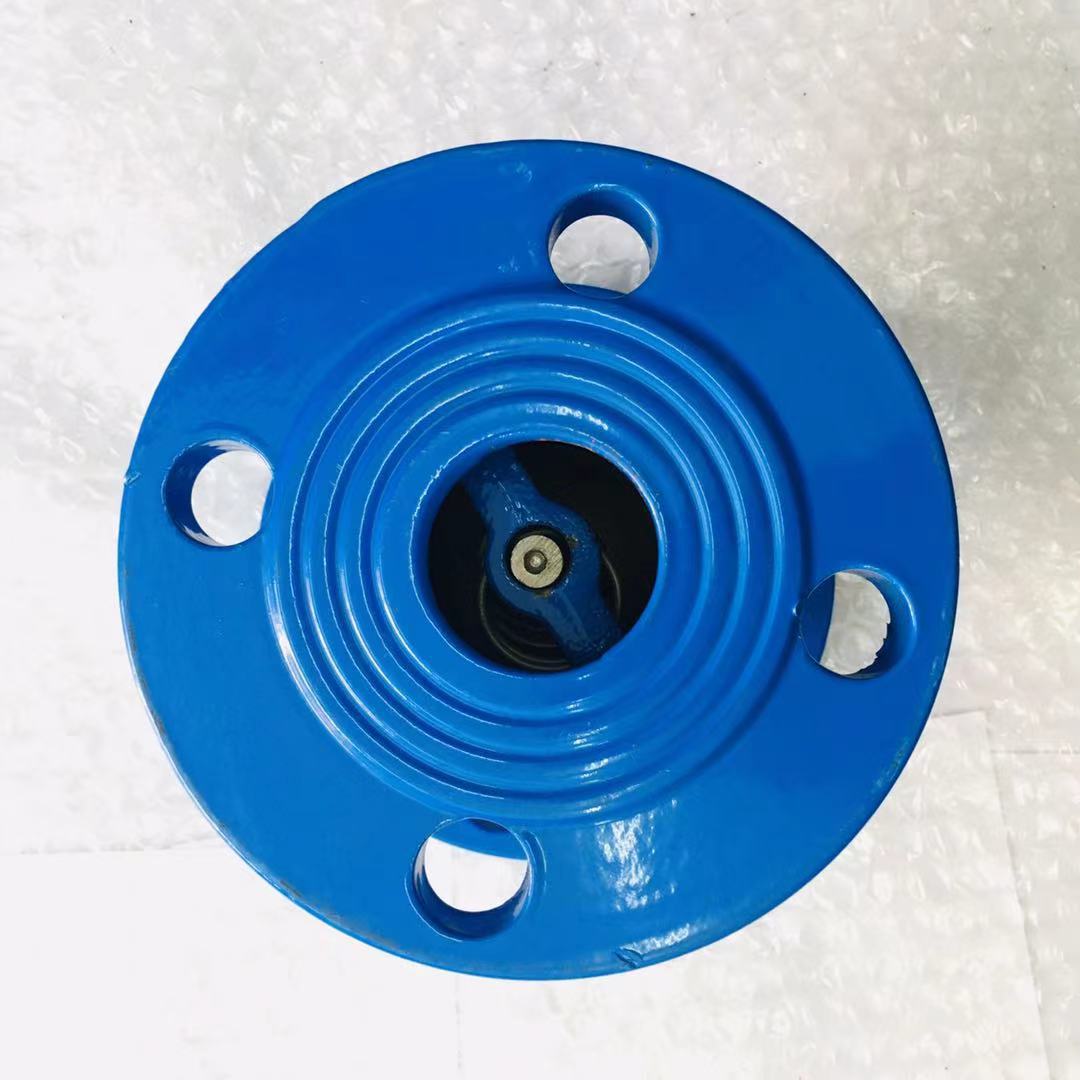 蓝色消声止回阀（5）