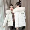 Chaqueta corta de plumón estilo coreano con cuello grande de pelo para mujer, otoño e invierno, corte holgado para figuras menudas, abrigo casual grueso y cálido