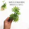 Plástico Cinco Pontas Rabanete Verde Folha de Lótus Artificial Flor Planta Verde Pequena Flor Artificial Ornamento Rochedo Interno Micro Paisagem Adereços