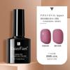 Manicura Cat Eye Glue 2024 Nuevo Set de Pegamento para Esmalte de Uñas Tienda Especial de Nail Art Pegamento de Fototerapia Color Popular de Celebridad de Internet Set Pequeño