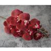 Flor Artificial Phalaenopsis Pequena 7 Cabeças Mesa de Jantar Flor Falsa Decoração Hotel Colocação de Flores Phalaenopsis Atacado Exportação Venda Quente