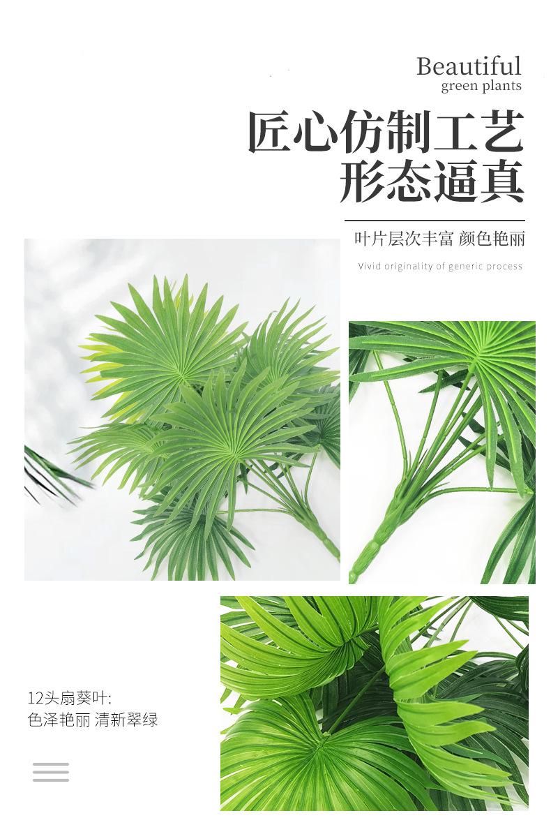 扇葵叶_05.jpg