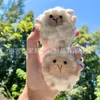 Nuevo Juguete de Peluche de Animal Lindo Colgante de Fieltro de Lana Terminado, Adorno Colgante para Bolso de Oveja Pequeña Accesorio de Regalo