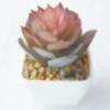 Suculenta Artificial Cabeça de Flor de Suculenta Artificial Bonsai Artificial Acessórios DIY Fabricante Conjunto de Cabeças de Flor de Suculenta Cor Personalizada