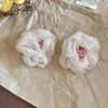 Pendientes de Borlas con Flores Rosas Estilo Vacaciones Transfronterizas Europeos y Americanos, Pendientes Dulces de Nicho Súper de Hada, Pendientes de Lujo Ligero y de Alta Gama