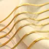 Minimalista Estilo Frío Cadena Hueso de Serpiente de Acero Inoxidable Chapada en Oro de 18K, Collar Unisex de Acero de Titanio Plano Serpiente Personalizado de Alta Gama