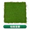 Simulación de musgo, musgo falso, fondo de planta, decoración de pared, planta verde, micropaisaje, césped flocado, simulación de musgo verde