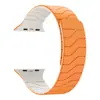 Novo Modelo Adequado para Apple Watch Pulseira Magnética de Silicone Iwatchs10 Pulseira Esportiva Ultra2 Cor de Combinação em Sarja