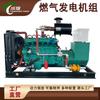 Grupo Generador de Gas Yuchai de 50/100/150 Kilovatios para Granjas de Cría, Equipo de Generación de Energía con Gas Natural y Biogás con Inyección Electrónica de Combustible