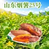 Shandong Yanshu No. 25 Dropshipping de Batata 3/5/ 4.5 kg Batata Cruda para Cocina Asar Verduras Frescas