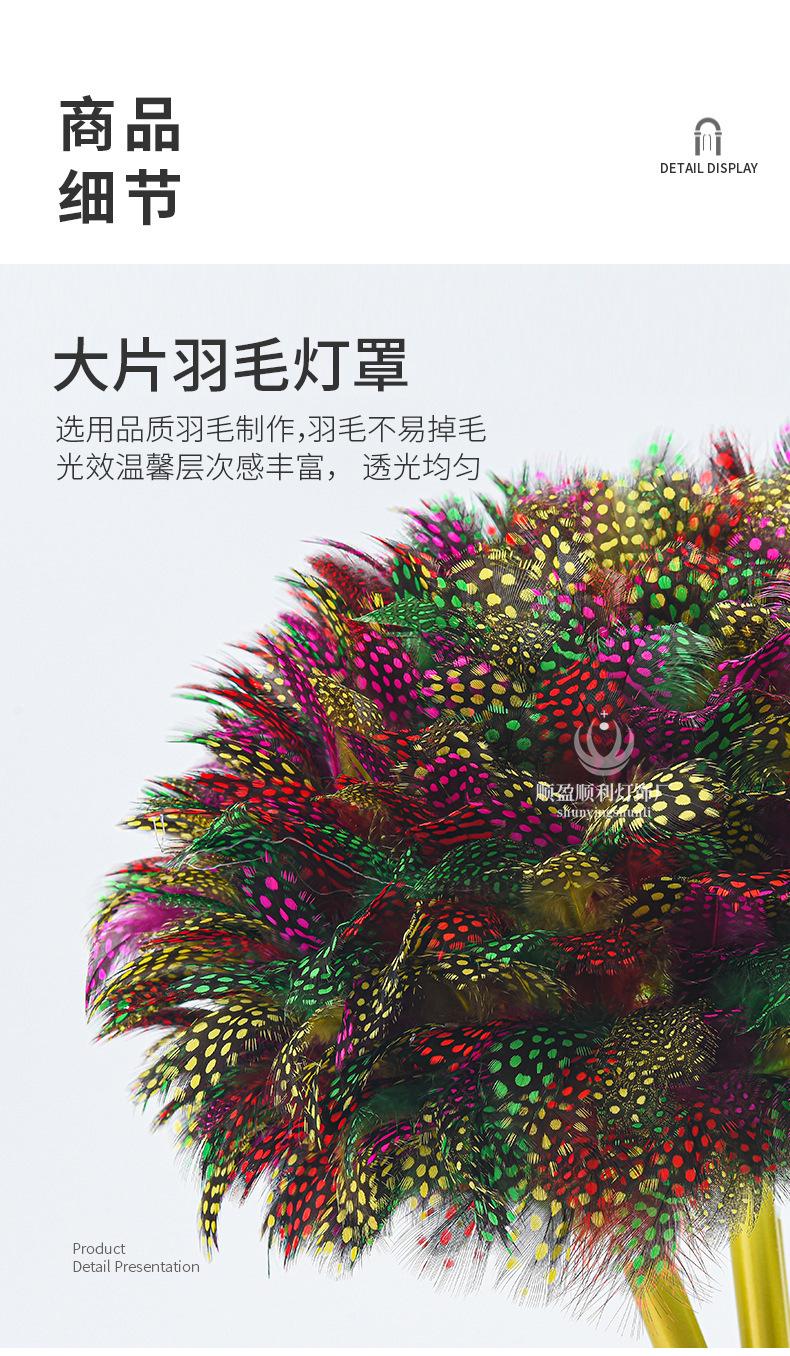 描述图_12.jpg
