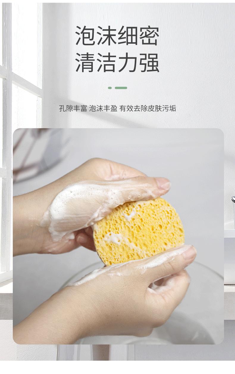 海绵