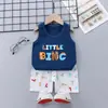 Ropa Infantil 2024 Verano Nuevo Traje Chaleco Infantil Algodón Puro Comercio Exterior Bebé Sin Mangas Shorts Estilo Coreano Ropa para Niños