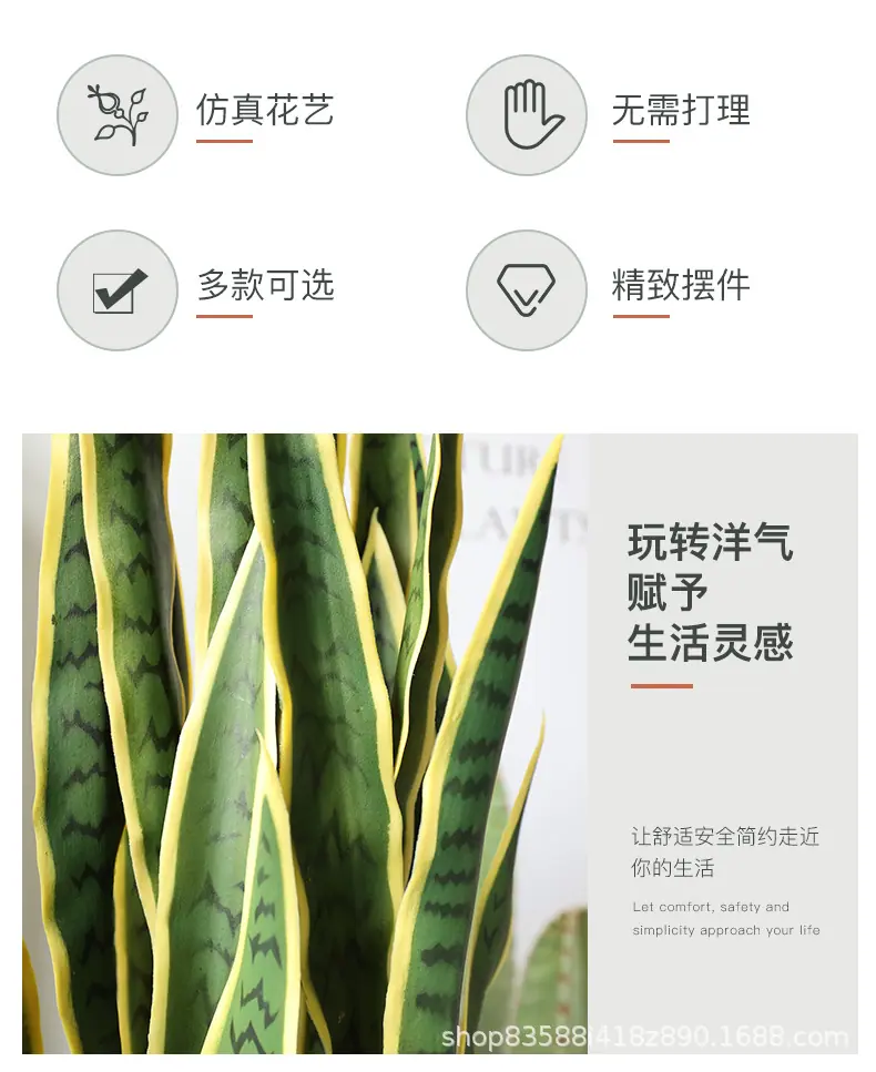 仿真芦荟+虎皮兰_02.jpg